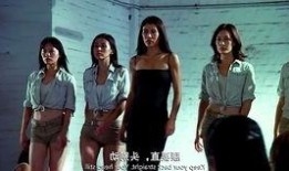 失踪少女44在线观看,揭开神秘失踪案的真相